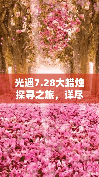光遇7.28大蜡烛探寻之旅，详尽位置攻略及任务完成指南