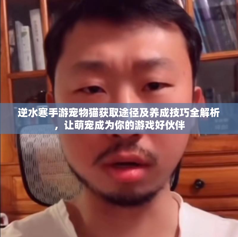 逆水寒手游宠物猫获取途径及养成技巧全解析，让萌宠成为你的游戏好伙伴