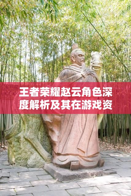 王者荣耀赵云角色深度解析及其在游戏资源管理策略中的核心作用