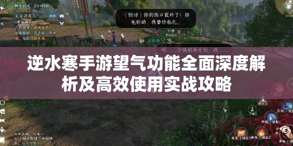 逆水寒手游望气功能全面深度解析及高效使用实战攻略