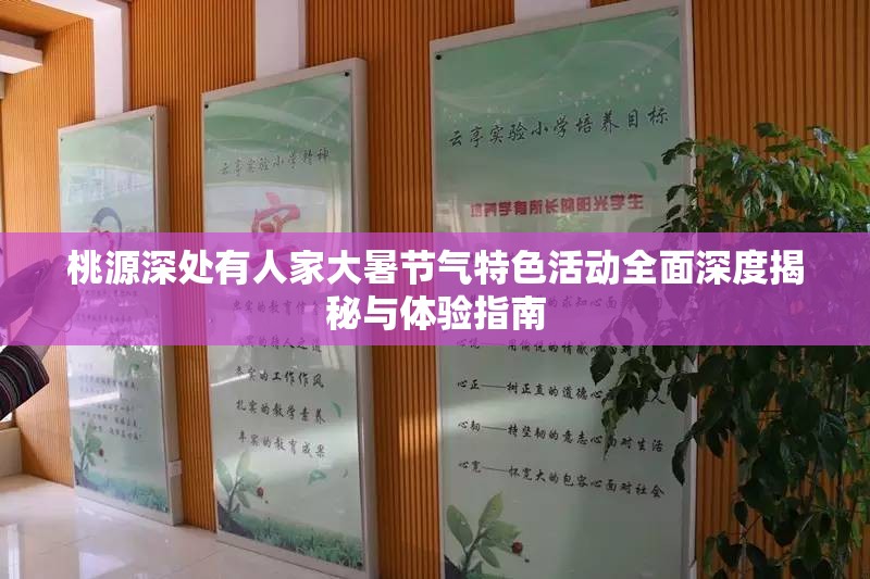 桃源深处有人家大暑节气特色活动全面深度揭秘与体验指南