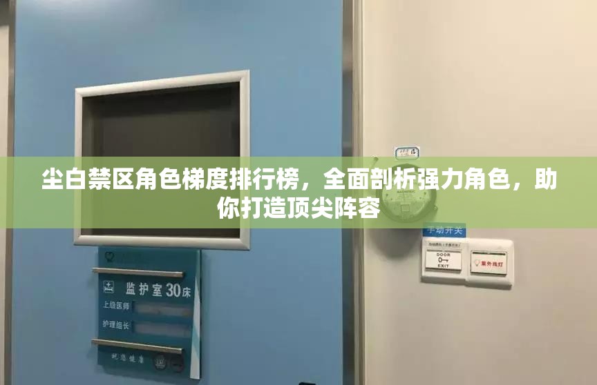 尘白禁区角色梯度排行榜，全面剖析强力角色，助你打造顶尖阵容