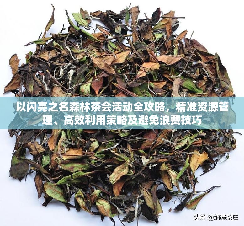 以闪亮之名森林茶会活动全攻略，精准资源管理、高效利用策略及避免浪费技巧