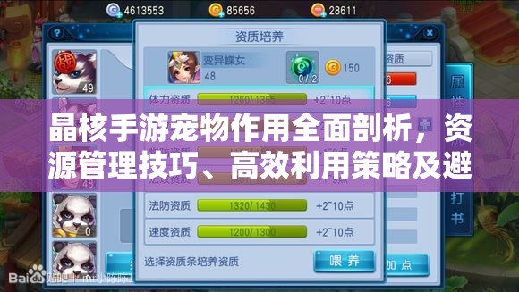 晶核手游宠物作用全面剖析，资源管理技巧、高效利用策略及避免浪费指南