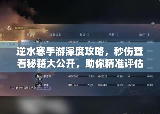 逆水寒手游深度攻略，秒伤查看秘籍大公开，助你精准评估并提升战斗实力