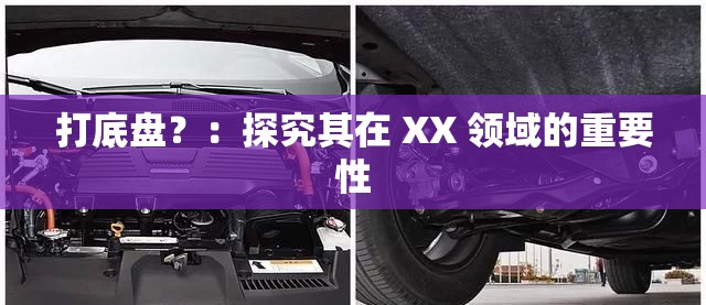 打底盘？：探究其在 XX 领域的重要性