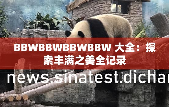 BBWBBWBBWBBW 大全：探索丰满之美全记录