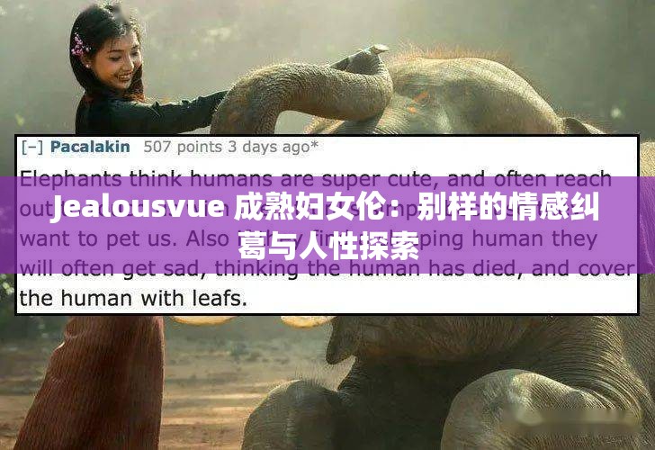 Jealousvue 成熟妇女伦：别样的情感纠葛与人性探索