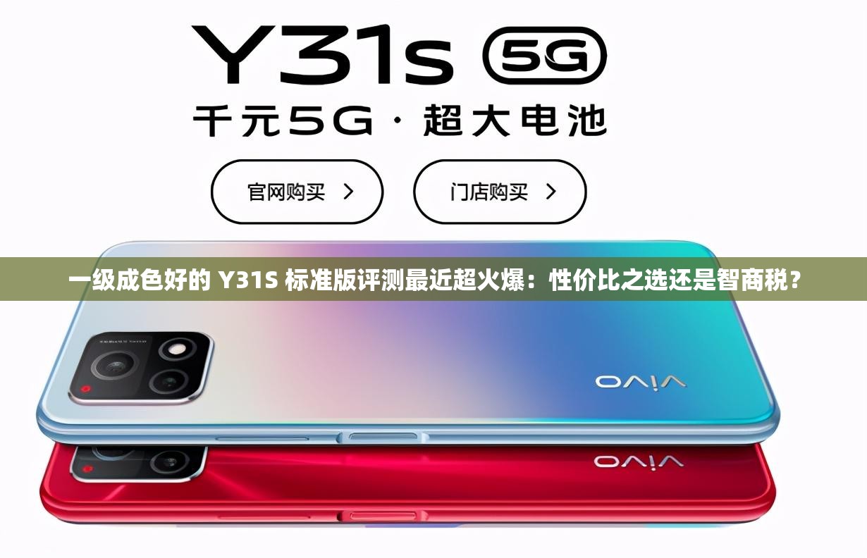 一级成色好的 Y31S 标准版评测最近超火爆：性价比之选还是智商税？
