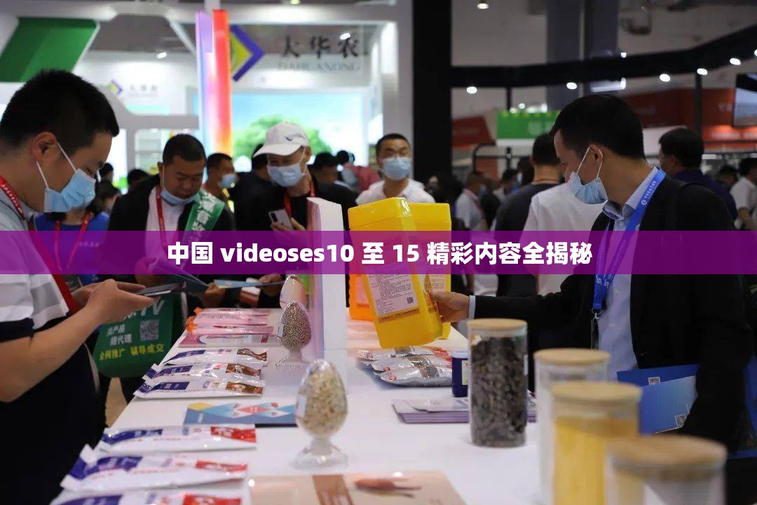 中国 videoses10 至 15 精彩内容全揭秘