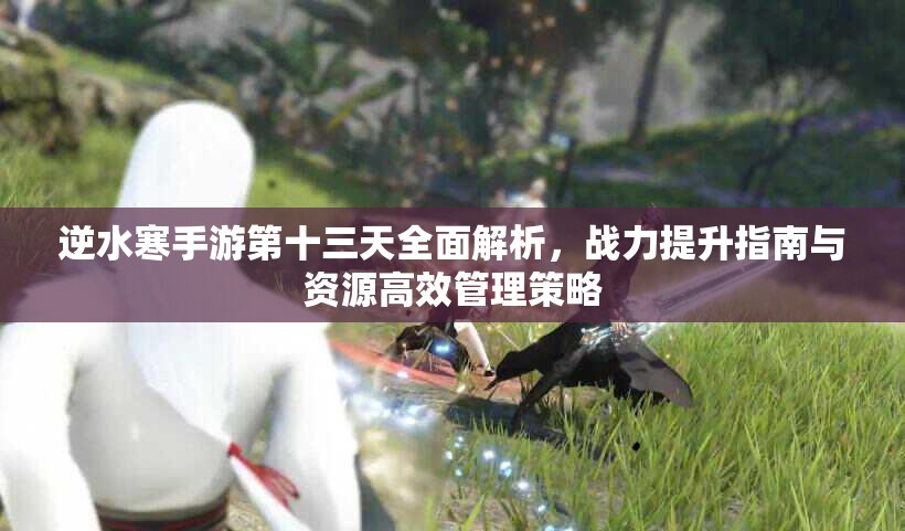 逆水寒手游第十三天全面解析，战力提升指南与资源高效管理策略