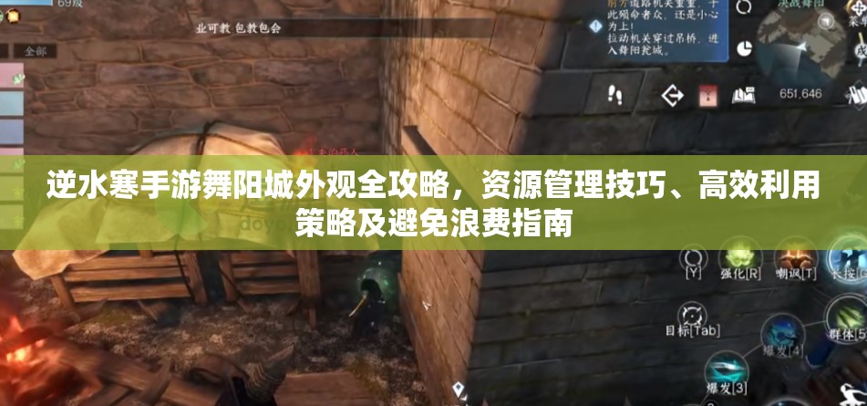 逆水寒手游舞阳城外观全攻略，资源管理技巧、高效利用策略及避免浪费指南