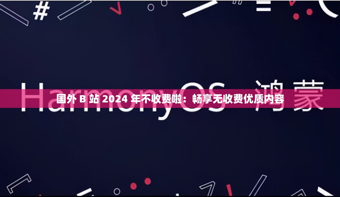国外 B 站 2024 年不收费啦：畅享无收费优质内容