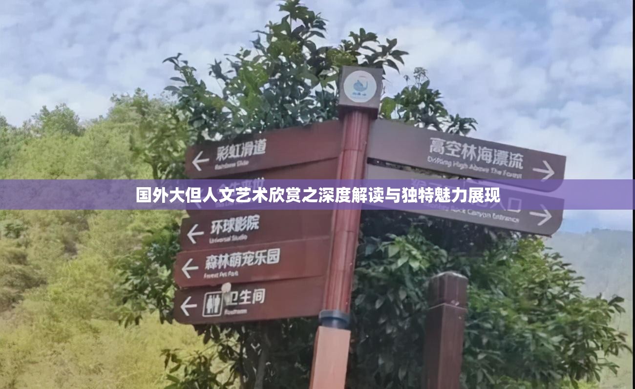国外大但人文艺术欣赏之深度解读与独特魅力展现