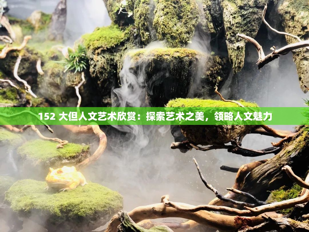 152 大但人文艺术欣赏：探索艺术之美，领略人文魅力