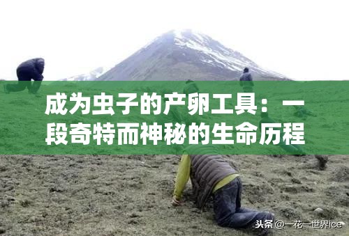 成为虫子的产卵工具：一段奇特而神秘的生命历程