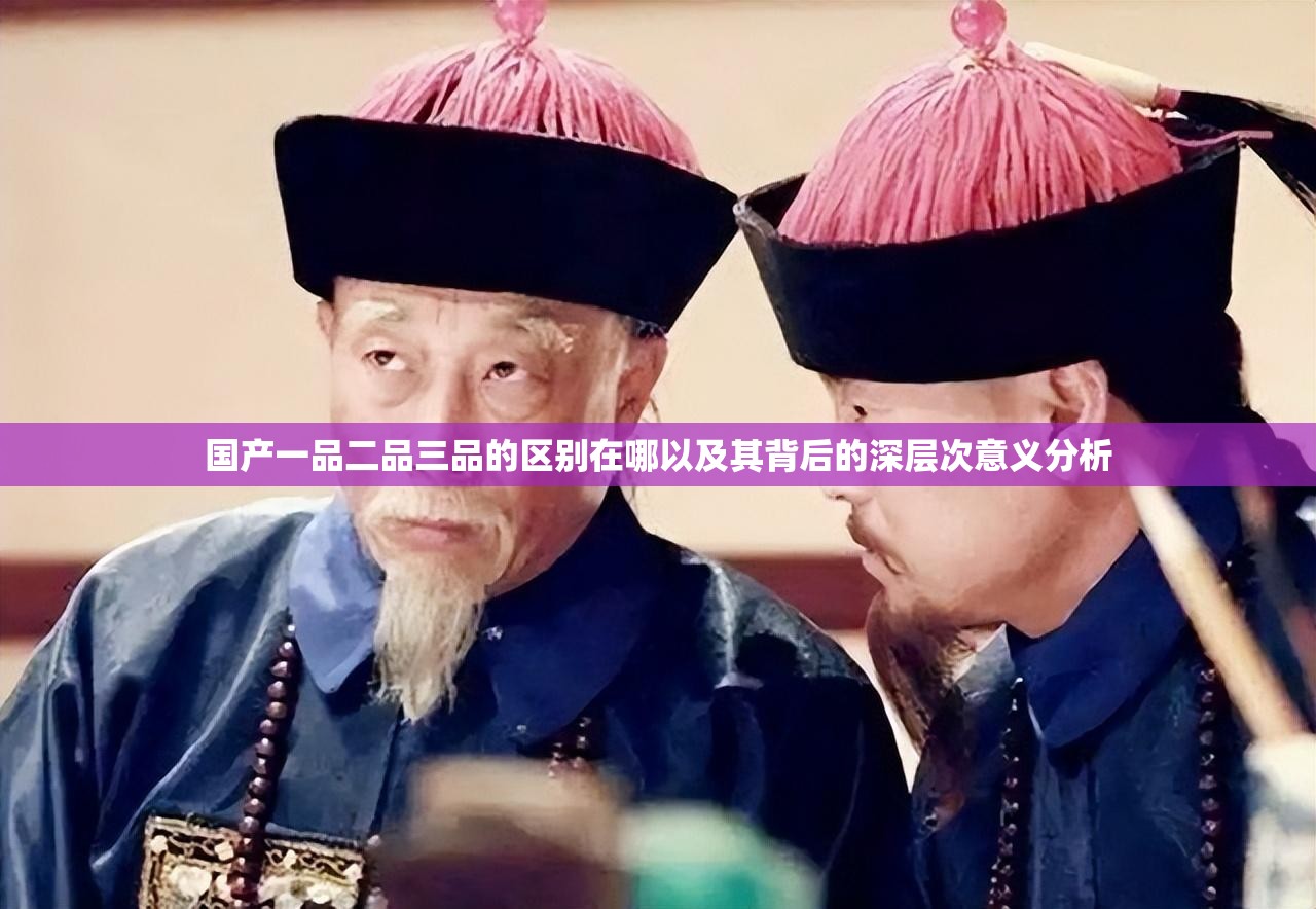 国产一品二品三品的区别在哪以及其背后的深层次意义分析