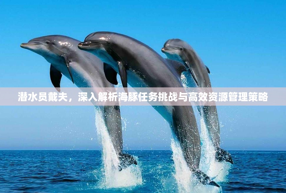 潜水员戴夫，深入解析海豚任务挑战与高效资源管理策略