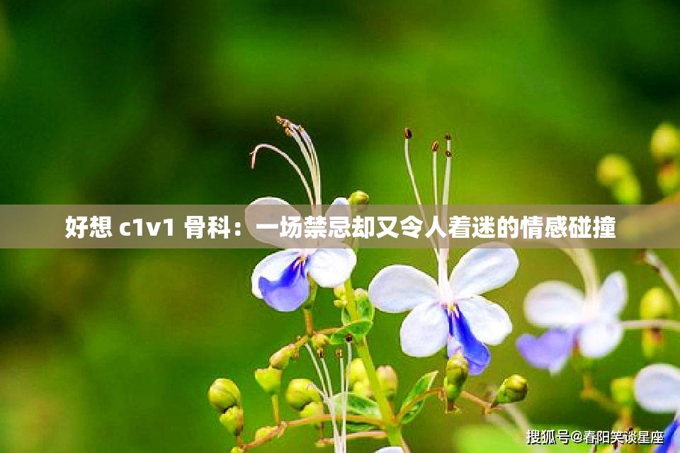 好想 c1v1 骨科：一场禁忌却又令人着迷的情感碰撞