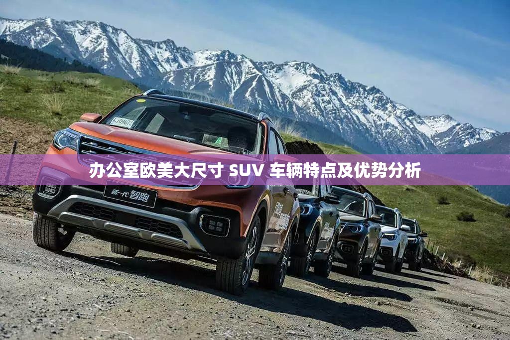 办公室欧美大尺寸 SUV 车辆特点及优势分析