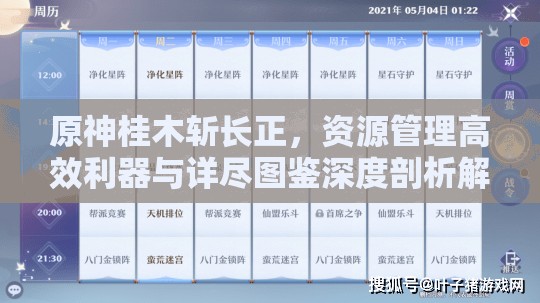 原神桂木斩长正，资源管理高效利器与详尽图鉴深度剖析解读
