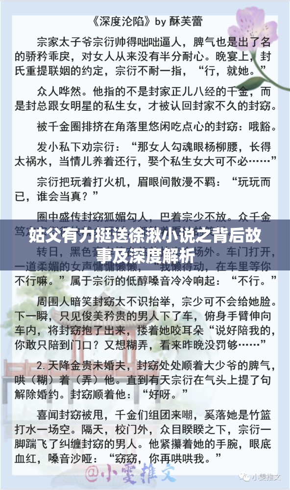 姑父有力挺送徐湫小说之背后故事及深度解析