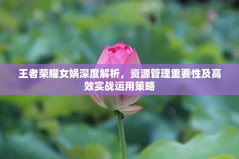 王者荣耀女娲深度解析，资源管理重要性及高效实战运用策略
