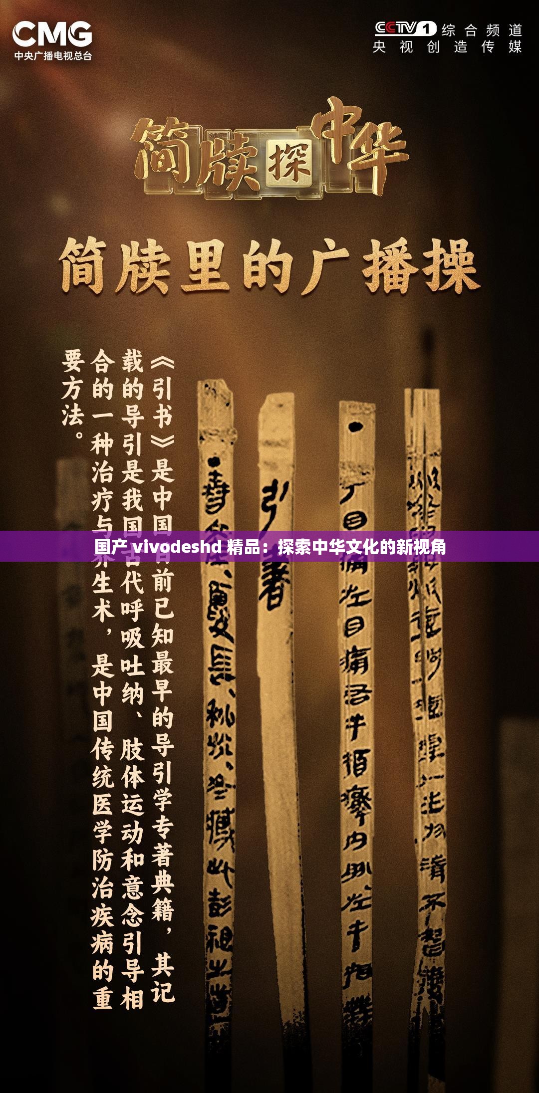 国产 vivodeshd 精品：探索中华文化的新视角