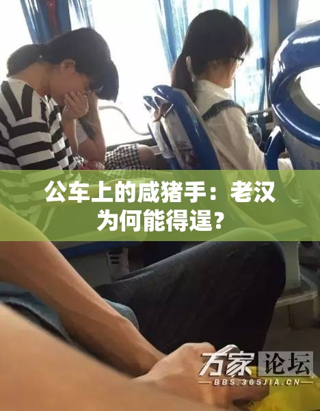 公车上的咸猪手：老汉为何能得逞？