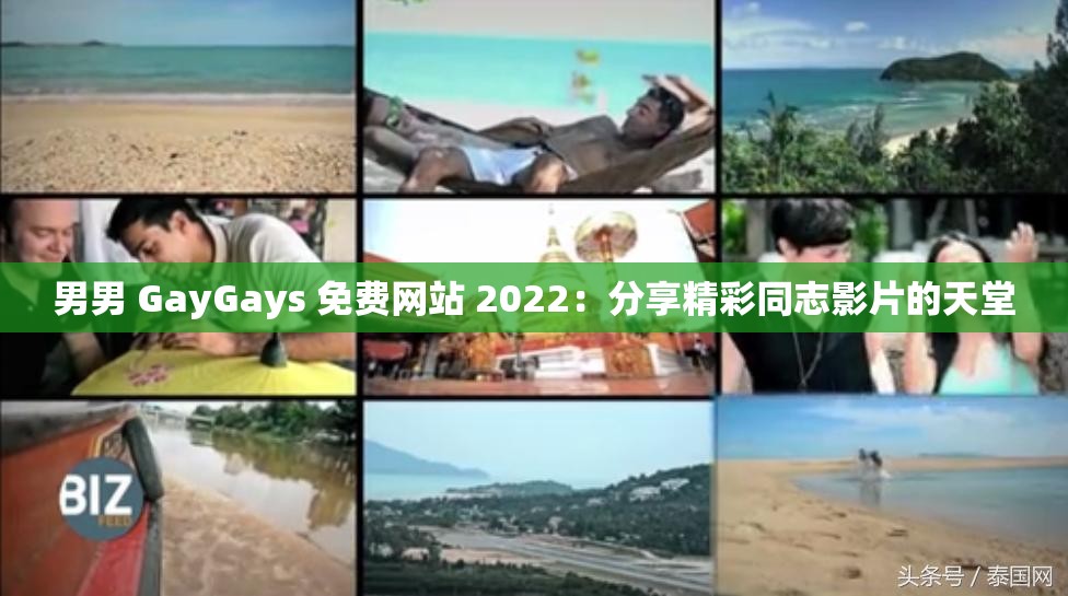 男男 GayGays 免费网站 2022：分享精彩同志影片的天堂