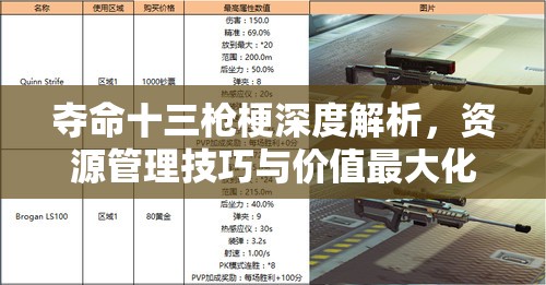 夺命十三枪梗深度解析，资源管理技巧与价值最大化策略探讨