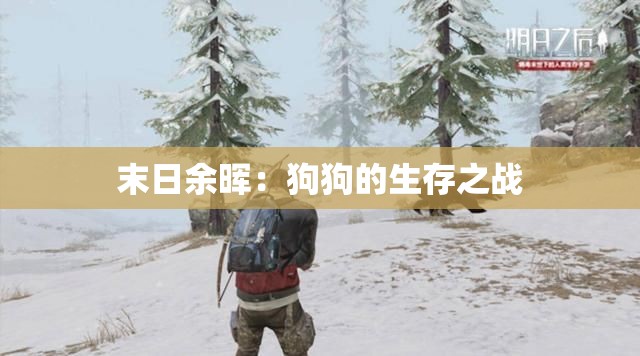 末日余晖：狗狗的生存之战