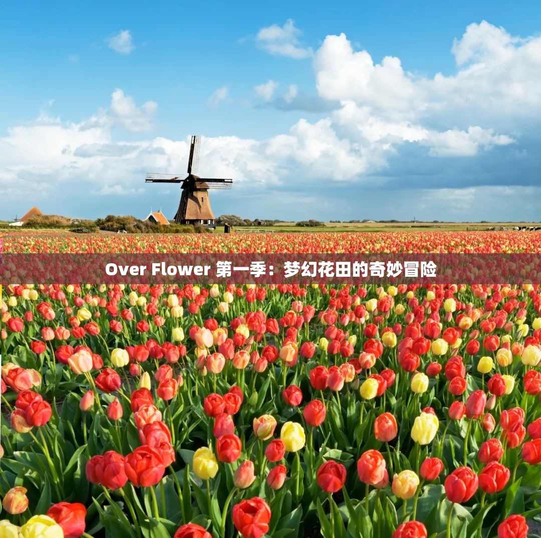 Over Flower 第一季：梦幻花田的奇妙冒险