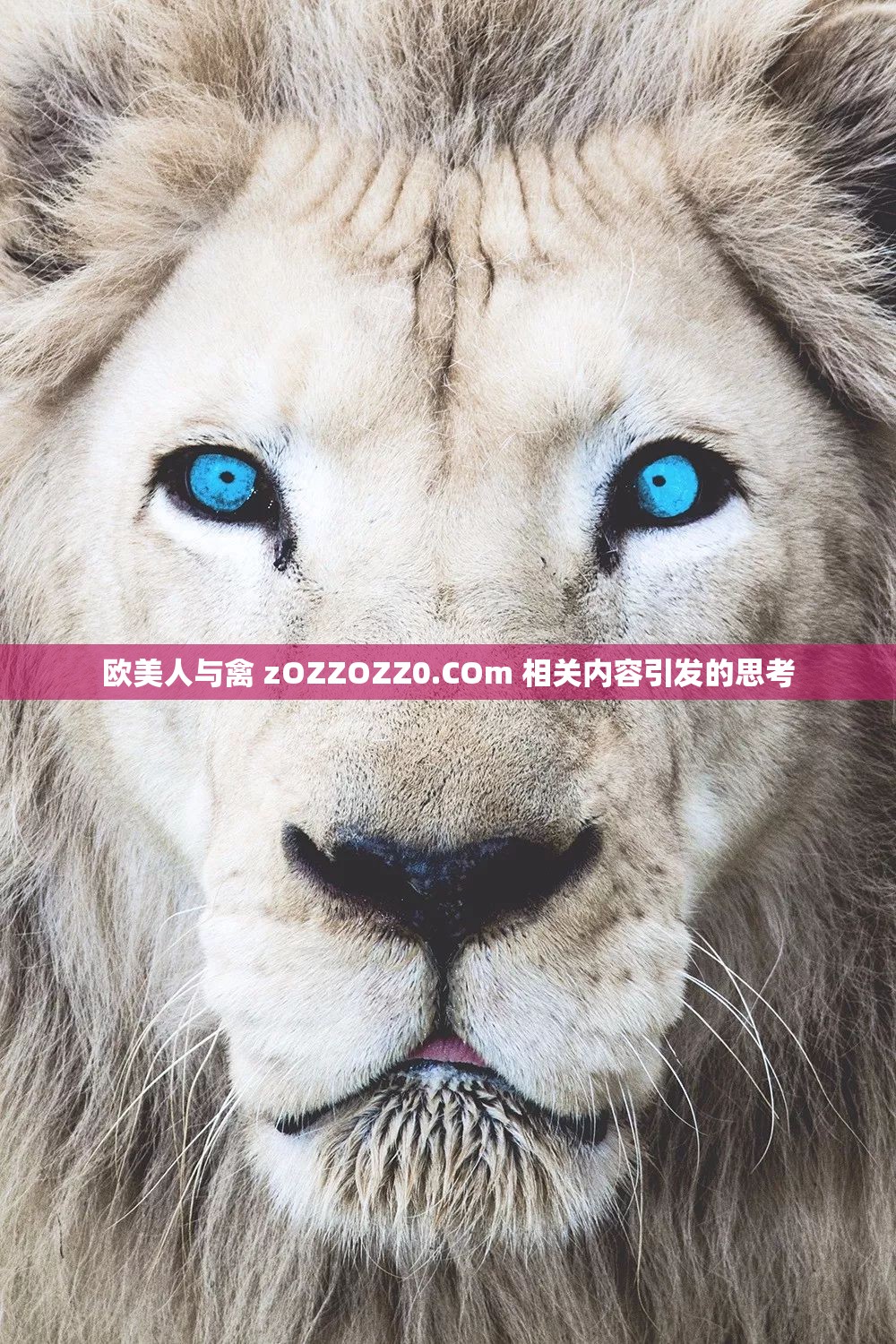 欧美人与禽 zOZZOZZ0.COm 相关内容引发的思考