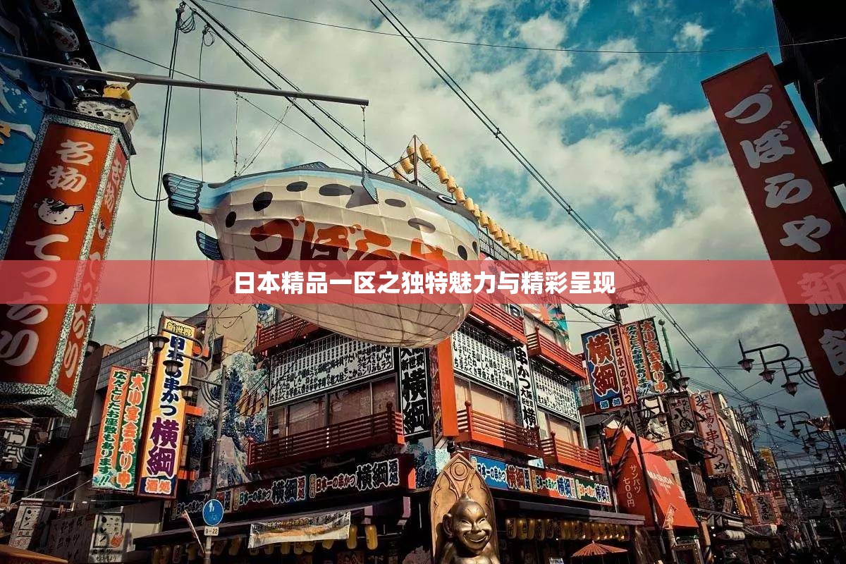 日本精品一区之独特魅力与精彩呈现