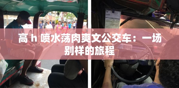 高 h 喷水荡肉爽文公交车：一场别样的旅程