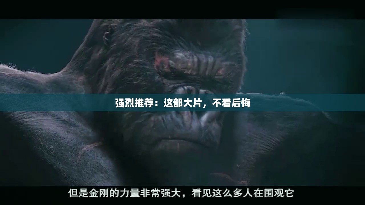 强烈推荐：这部大片，不看后悔