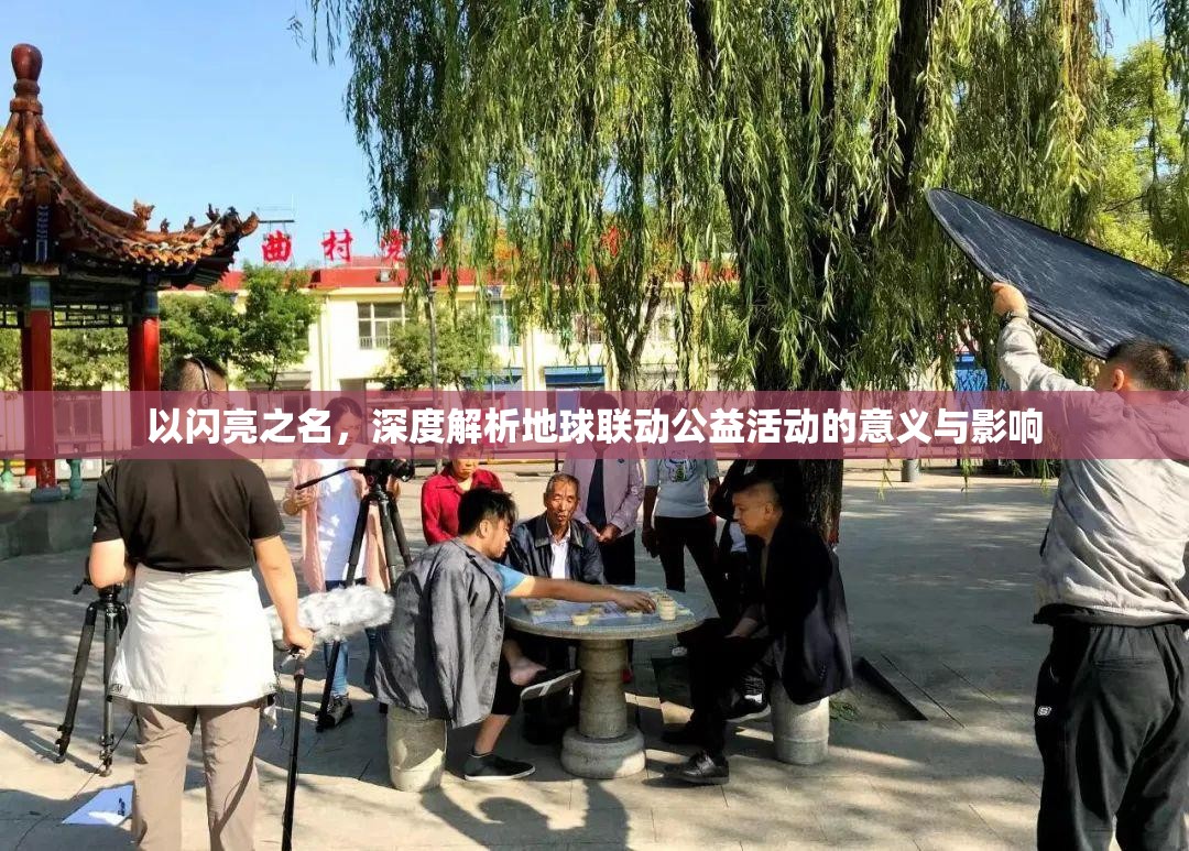以闪亮之名，深度解析地球联动公益活动的意义与影响