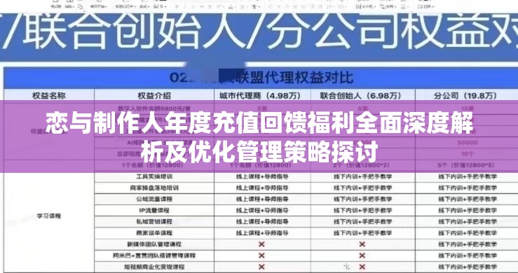 恋与制作人年度充值回馈福利全面深度解析及优化管理策略探讨
