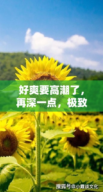 好爽要高潮了，再深一点，极致体验等你来