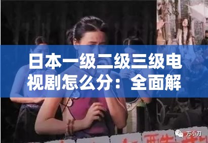 日本一级二级三级电视剧怎么分：全面解析与详细区分指南