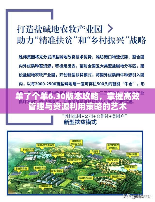 羊了个羊6.30版本攻略，掌握高效管理与资源利用策略的艺术
