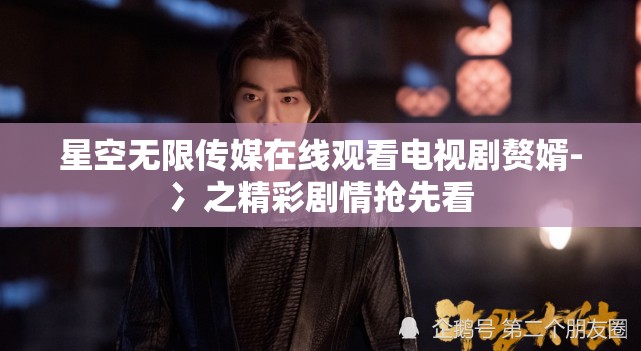 星空无限传媒在线观看电视剧赘婿-冫之精彩剧情抢先看