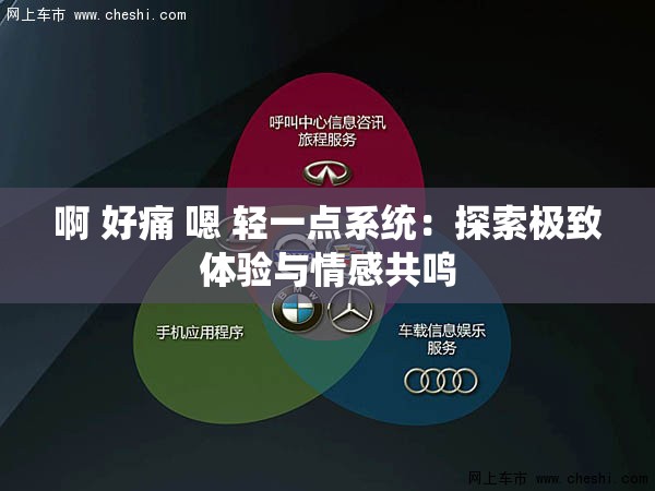啊 好痛 嗯 轻一点系统：探索极致体验与情感共鸣