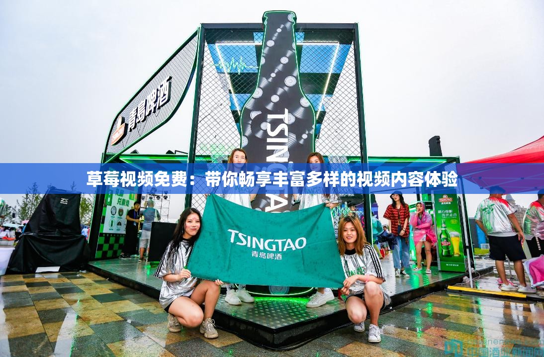 草莓视频免费：带你畅享丰富多样的视频内容体验