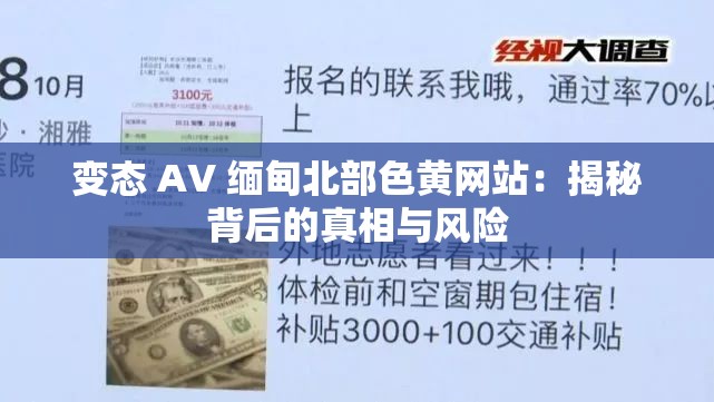 变态 AV 缅甸北部色黄网站：揭秘背后的真相与风险