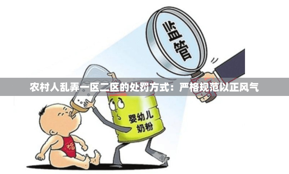 农村人乱弄一区二区的处罚方式：严格规范以正风气