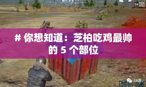 # 你想知道：芝柏吃鸡最帅的 5 个部位