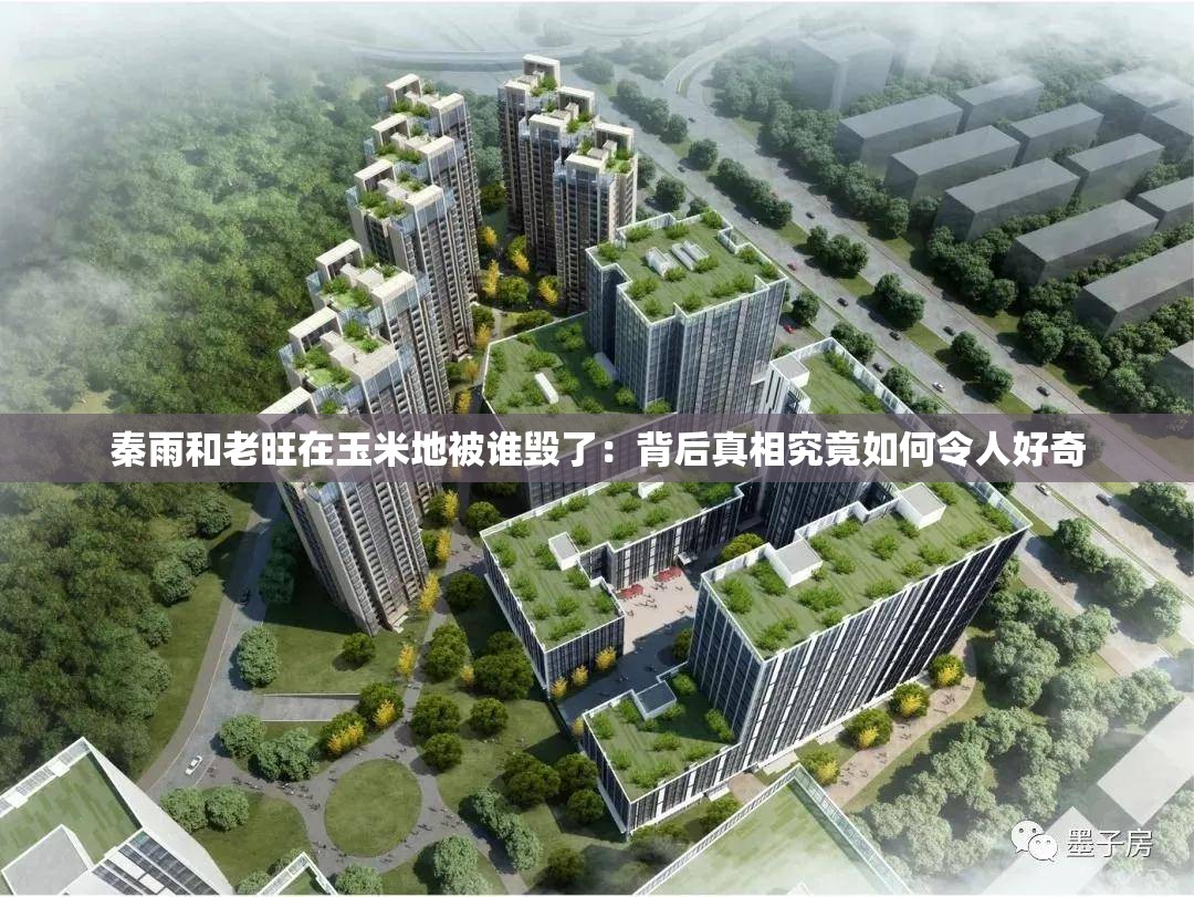 秦雨和老旺在玉米地被谁毁了：背后真相究竟如何令人好奇