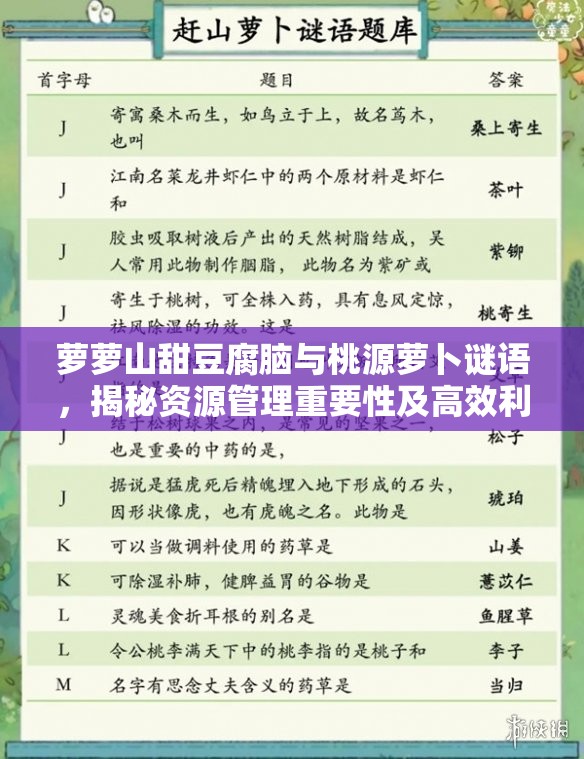 萝萝山甜豆腐脑与桃源萝卜谜语，揭秘资源管理重要性及高效利用策略